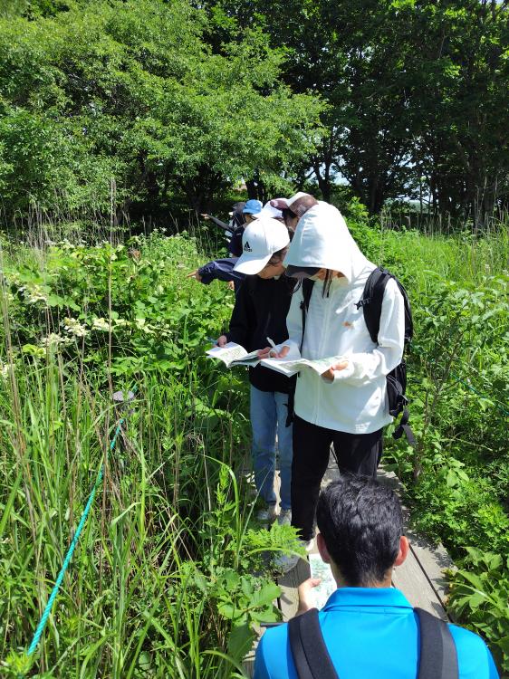 八島湿原での植物観察