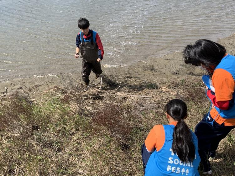 潟湖干潟の生き物採集